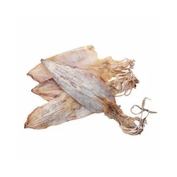 Dry Cuttle Fish