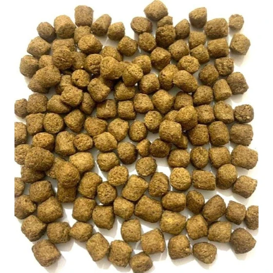 catla-fish-feed-1.webp