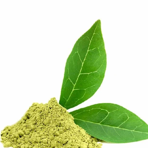 organic-gymnema-powder-2.webp