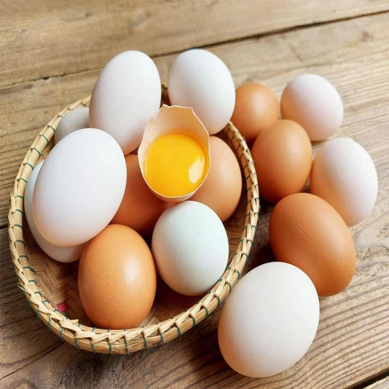 healthy-chicken-egg-2.webp