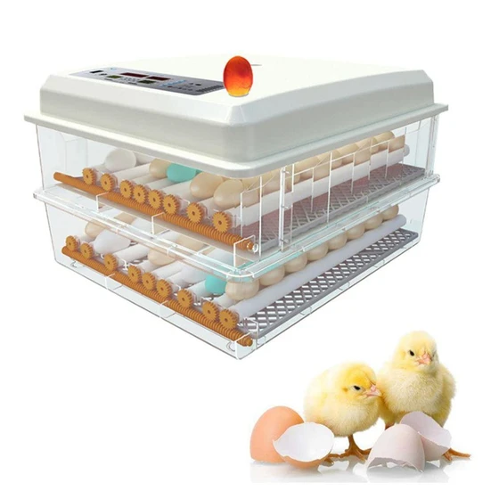 incubator-egg-hatcher-2.webp