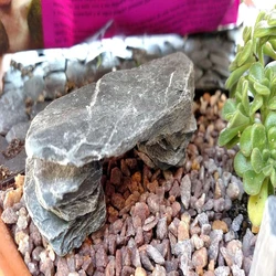 Natural Aquarium Stone