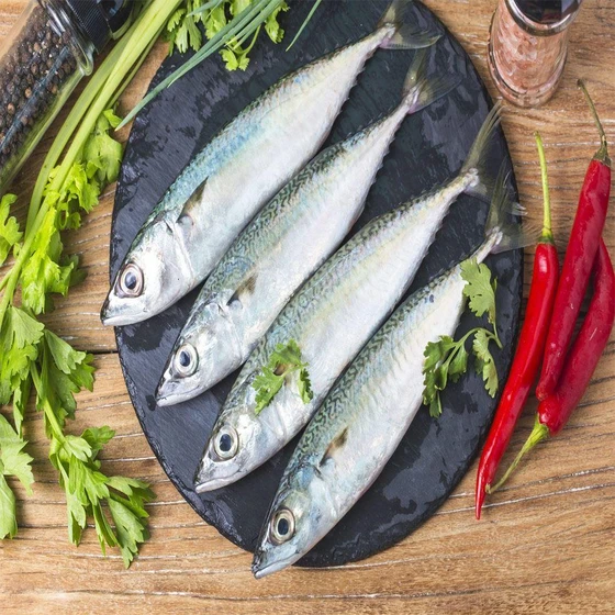 fresh-mackerel-fish-2.webp