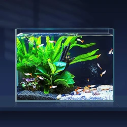 Glass Mini Aquarium