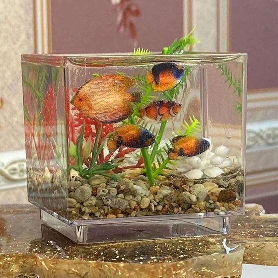 plain-mini-aquarium-1.webp
