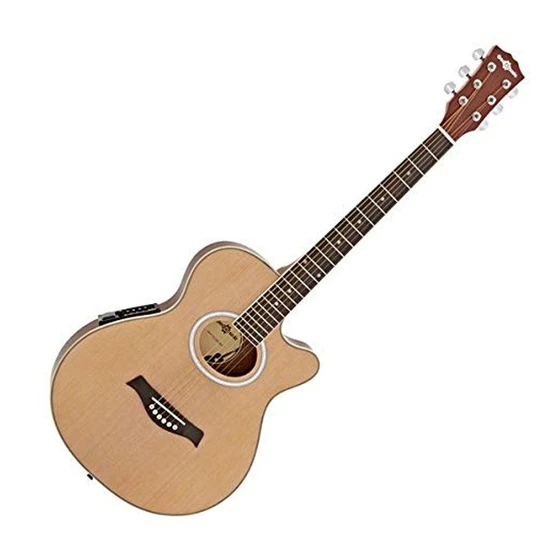 electro-accoustic-guitar-2.webp