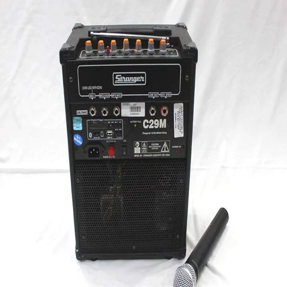 stranger-speaker-amplifier-2.webp