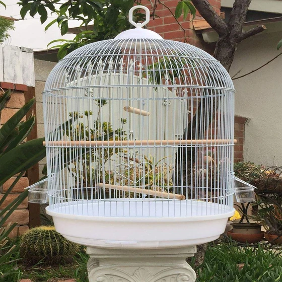 round-bird-cages-1.webp