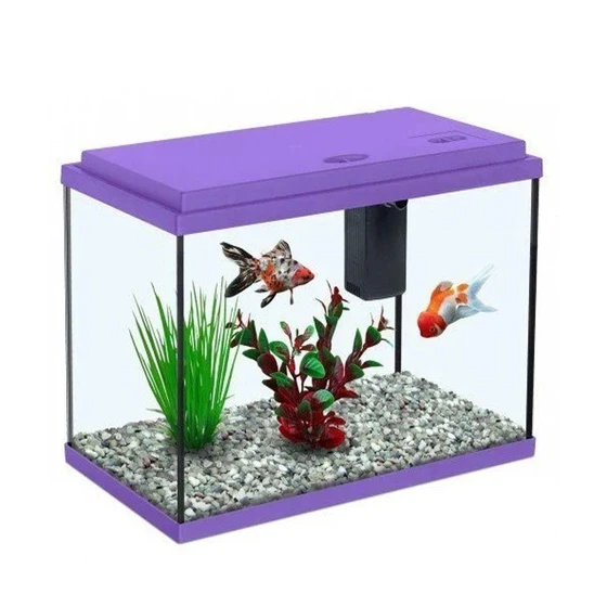 rectangular-fish-aquarium-1.webp