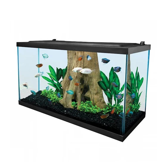 rectangular-fish-aquarium-2.webp