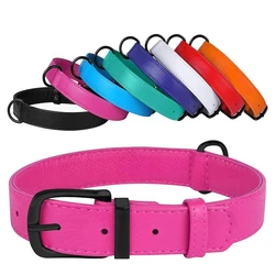Dog Neck Belt