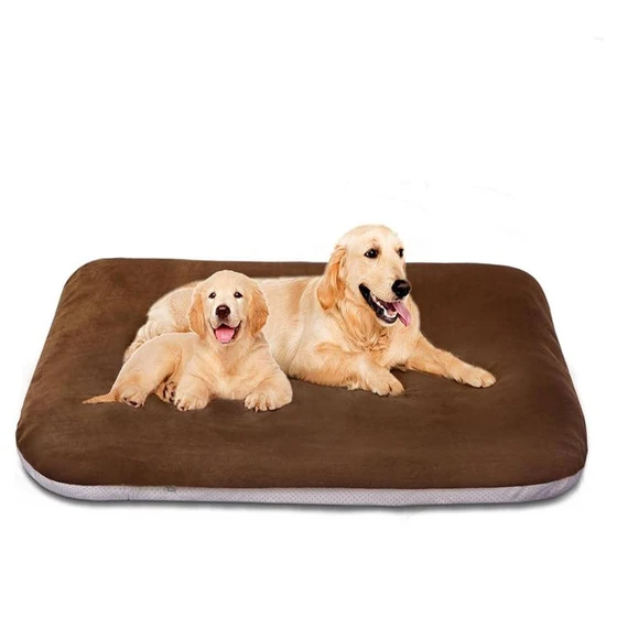 large-dog-bed-2.webp