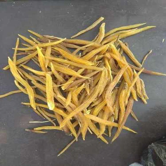 yellow-organic-shatavari-2.webp