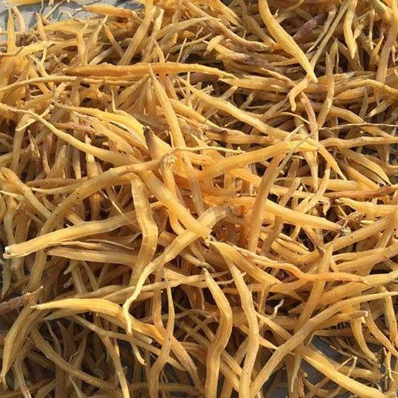 natural-shatavari-root-1.webp
