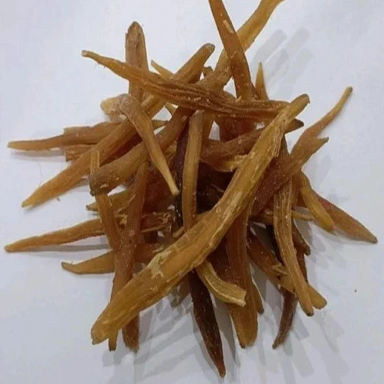 natural-shatavari-root-2.webp