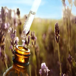 Natural Essential Oil