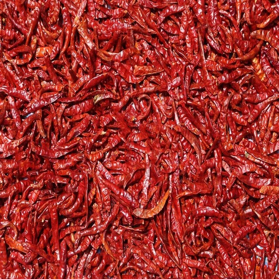 stem-dry-chilies-2.webp