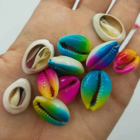 colored-cowrie-shells-2.webp