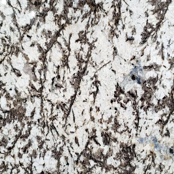 white-alaska.webp