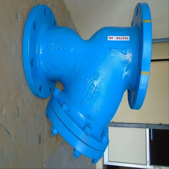y-type-pipeline-strainer-1.webp