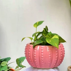 Round Exclusive Planters