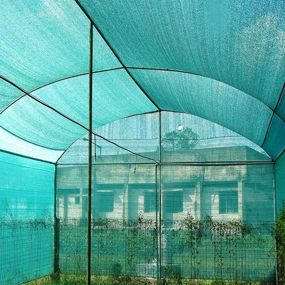 poly-house-net-2.webp