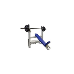 Incline Press Bench