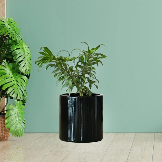 frp-planters-pots-2.webp