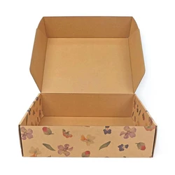Corrugated Shoe Box
