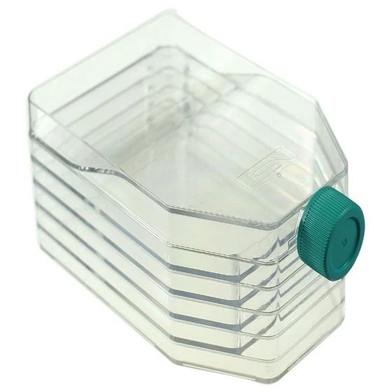 cell-culture-flask-2.webp