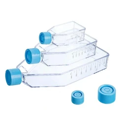 Cell Culture Flask