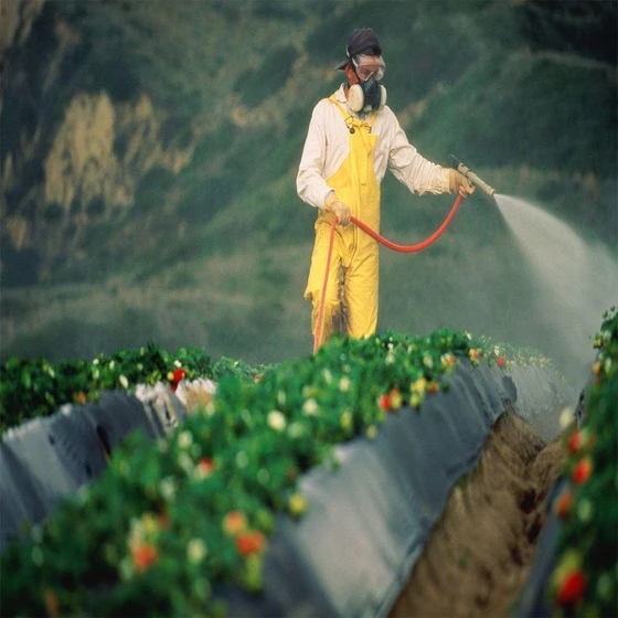 pesticides-chemicals-2.webp