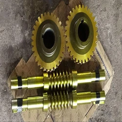 Worm Wheel Set