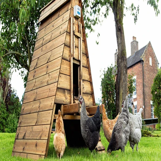 chicken-house-coop-2.webp