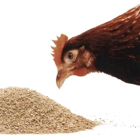 poultry-feed-1.webp