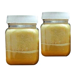 Palm Fatty Acid