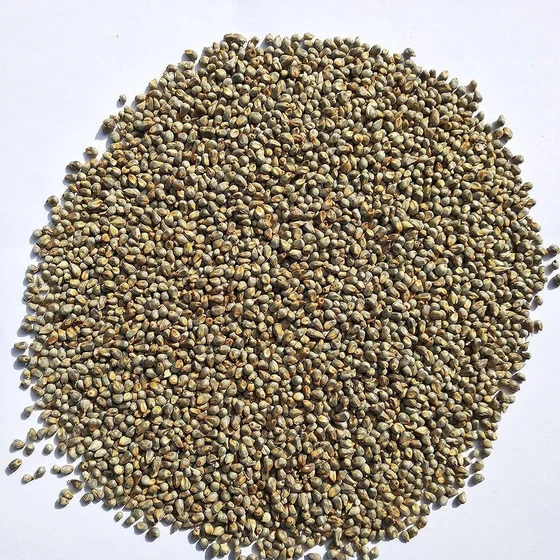 natural-bajra-seed-2.webp