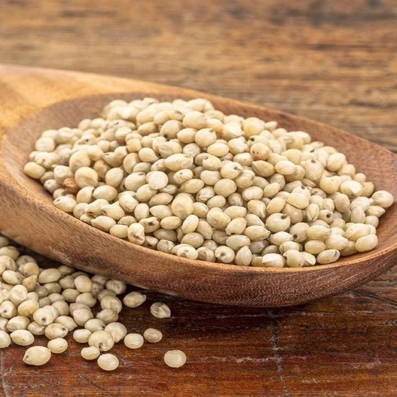 sorghum-jowar-seeds-2.webp