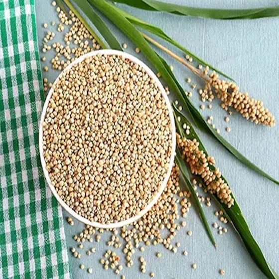 natural-jowar-seeds-2.webp