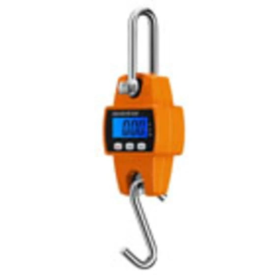 crane-weighing-machine.webp