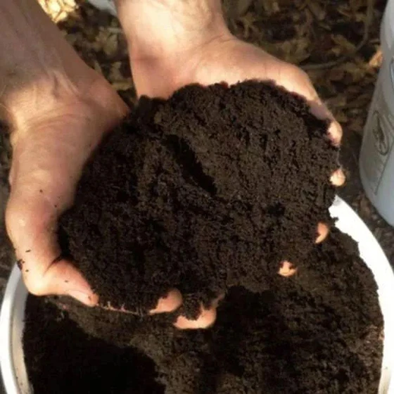 phosphate-organic-manure-2.webp