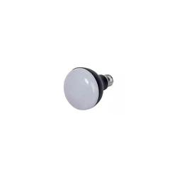 LED Aluminium Bulb