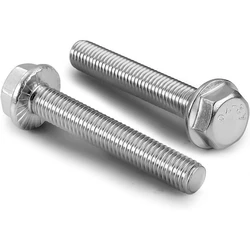 Hexagon Flange Bolts