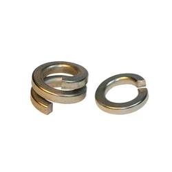 Double Coil Washers