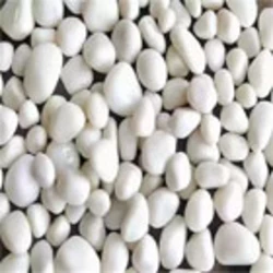 Pebbles Stones