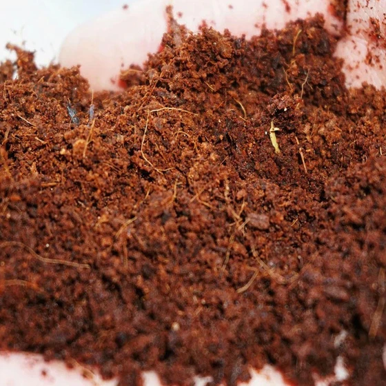 coco-coir-peat-2.webp