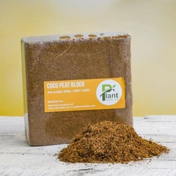 Coco Peat, Light weight, corky material, spongy