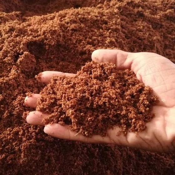 coco-peat-soil-2.webp