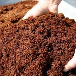 Coco Peat Soil, Environmentally friendly resource