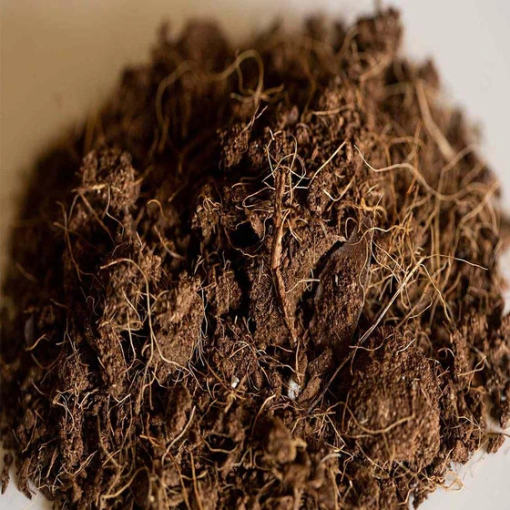 coco-coir-peat-moss-2.webp